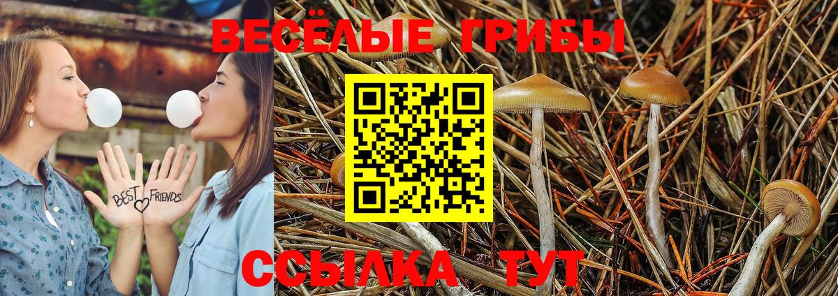Пыть-Ях  Галлюциногенные грибы Magic Shrooms  Вход с VPN 